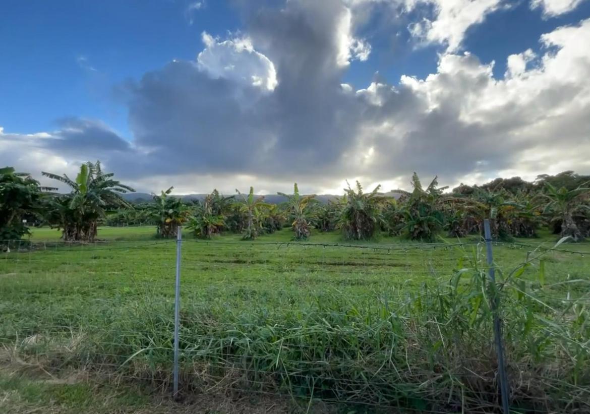 North Shore Glamping Camping Laie, Oahu, Hawaii Eksteriør billede